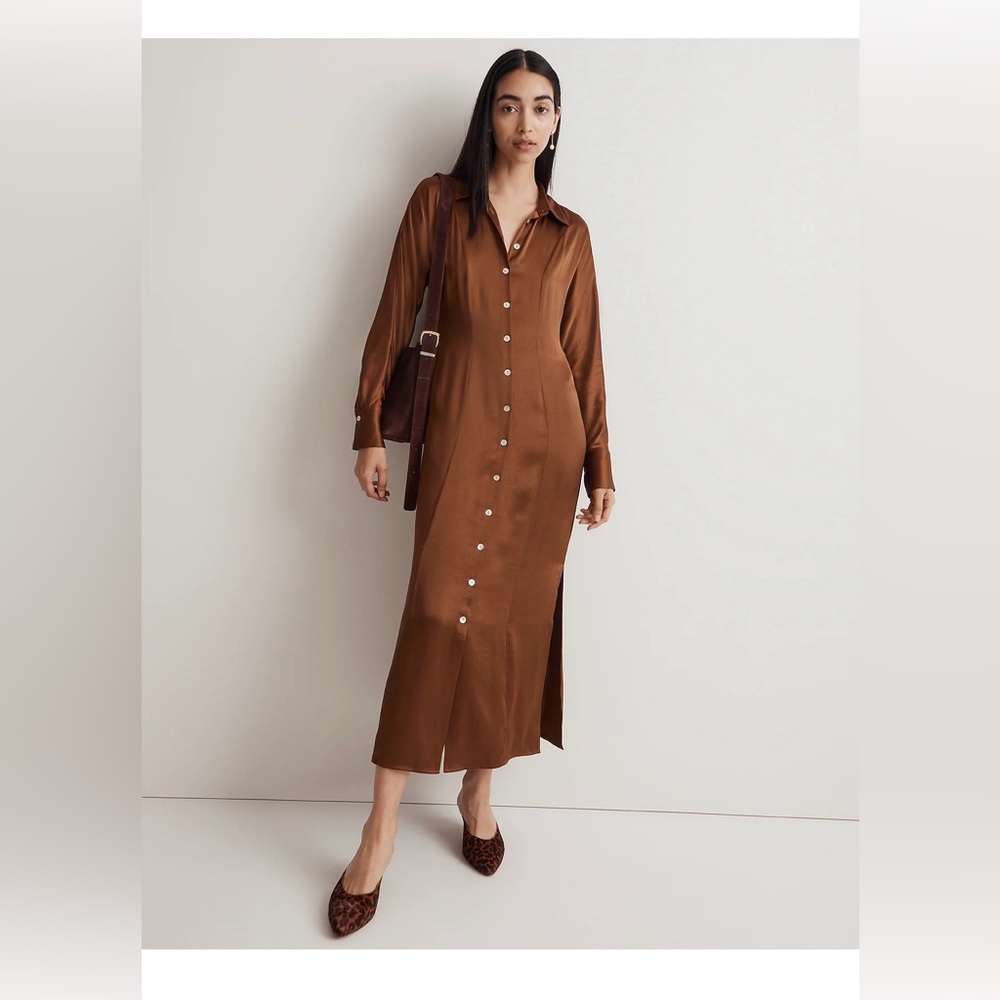 Long silk Madewell dress NWT